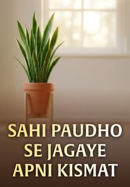 Sahi Paudho Se Jagaye Apni Kismat