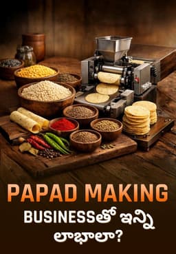 Papad Making Businessతో ఇన్ని లాభాలా?