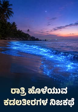 ರಾತ್ರಿ ಹೊಳೆಯುವ ಕಡಲತೀರಗಳ ನಿಜಕಥೆ