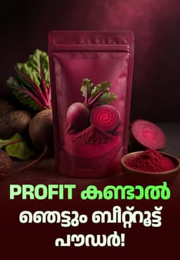 Profit കണ്ടാൽ ഞെട്ടും ബീറ്റ്‌റൂട്ട് പൗഡർ!