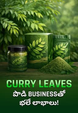 Curry Leaves పొడి Businessతో భలే లాభాలు!