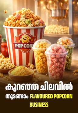 കുറഞ്ഞ ചിലവിൽ തുടങ്ങാം Flavoured Popcorn Business