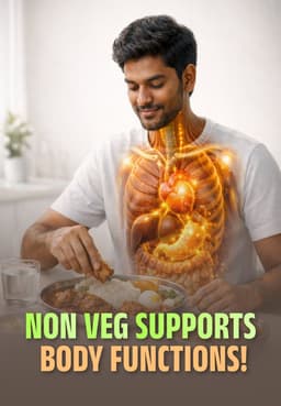 How Non Veg Supports Body Functions!