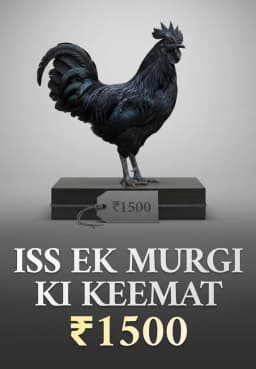 Iss Ek Murgi Ki Keemat ₹1500