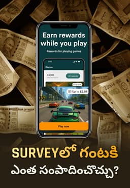 Surveyలో గంటకి ఎంత సంపాదించొచ్చు?