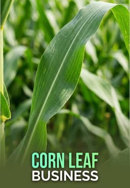 Corn Leaf Business