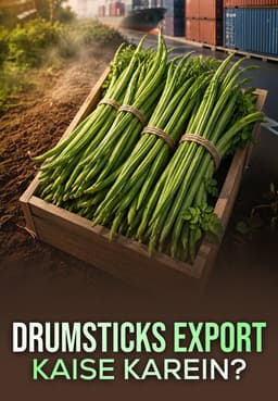 Drumsticks Export Kaise Karein?