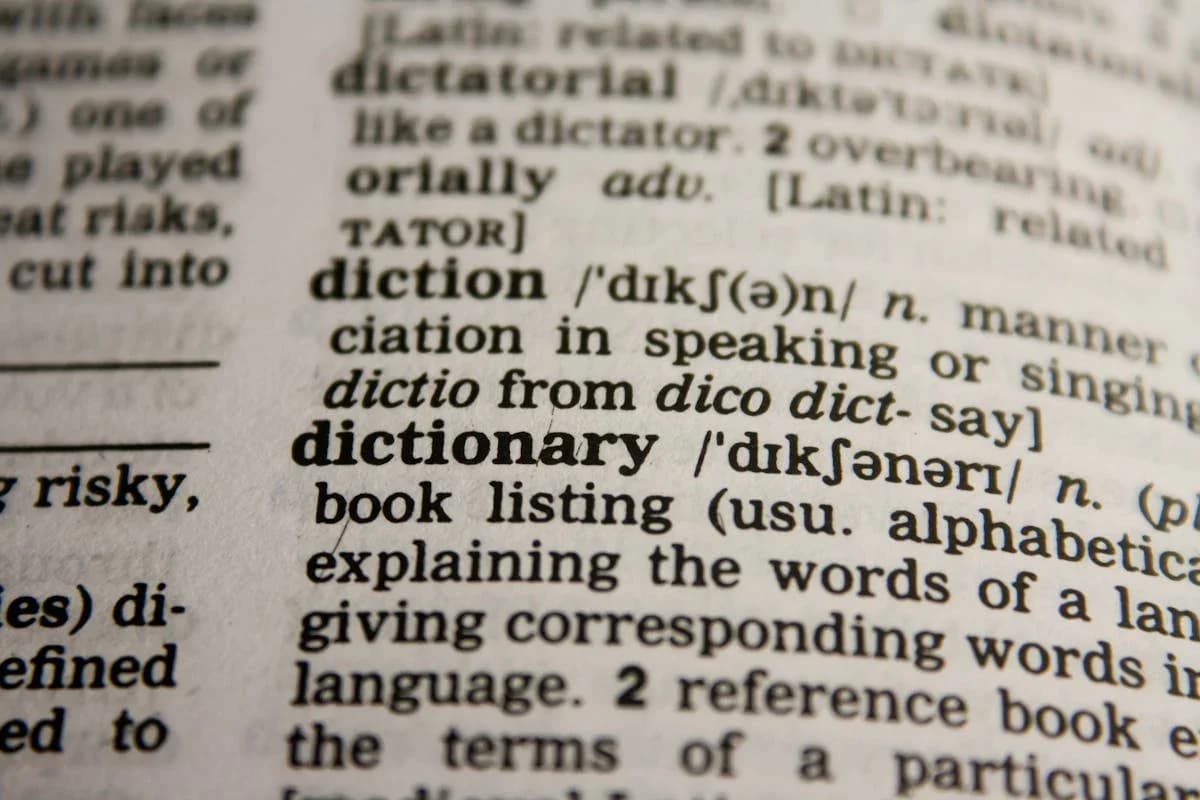 Use of "With", "Along", and "Along With" in English Sentence: Definition and Examples