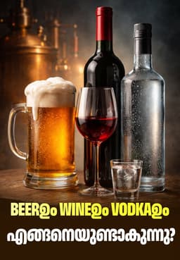 Beerഉം Wineഉം Vodkaഉം: എങ്ങനെയുണ്ടാകുന്നു?