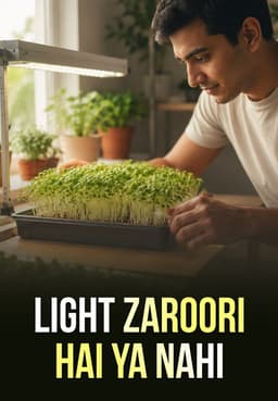 Light Zaroori Hai Ya Nahi