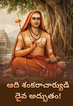 ఆది శంకరాచార్యుడి దైవ అద్భుతం!