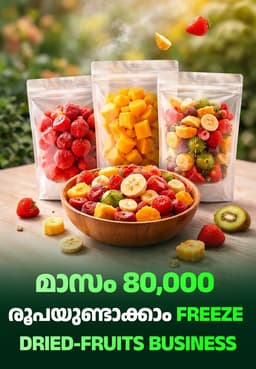 മാസം 80,000 രൂപയുണ്ടാക്കാം Freeze Dried-Fruits Business