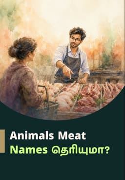 Animals Meat Names தெரியுமா?