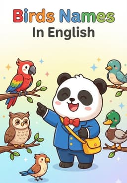 Birds Names In English