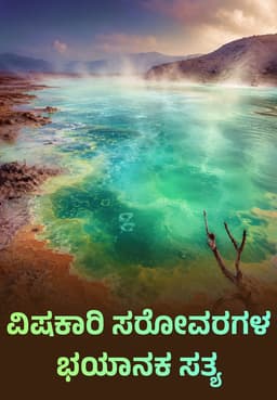 ವಿಷಕಾರಿ ಸರೋವರಗಳ ಭಯಾನಕ ಸತ್ಯ