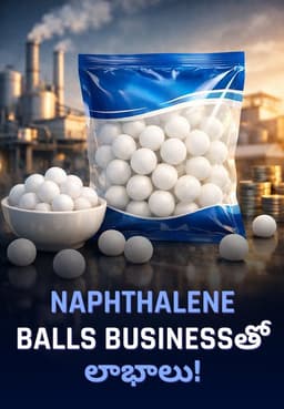 Naphthalene Balls Businessతో లాభాలు!