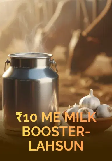 ₹10 Me Milk Booster- Lahsun
