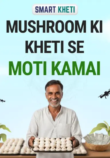 Mushroom Ki Kheti Se Moti Kamai