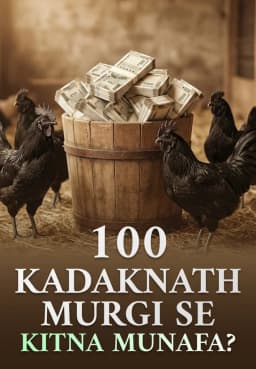 100 Kadaknath Murgi Se Kitna Munafa?