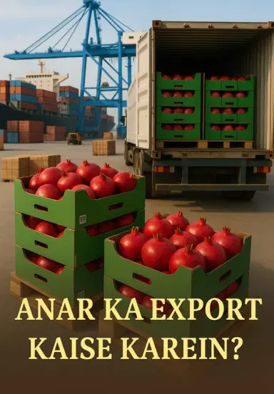 Anar Ka Export Kaise Karein?