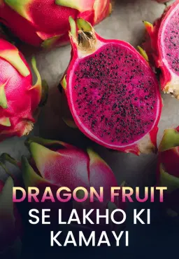 Dragon Fruit Se Lakho Ki Kamayi