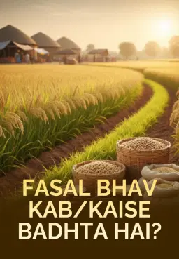 Fasal Bhav Kab/Kaise Badhta Hai?