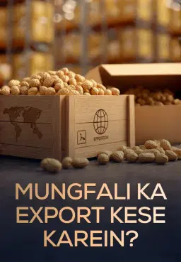Mungfali Ka Export Kese Karein?