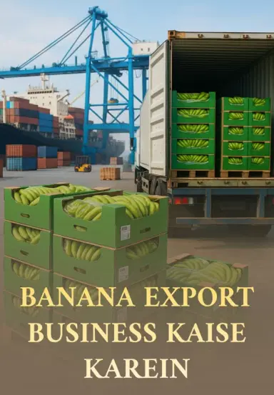 Banana Export Business kaise karein