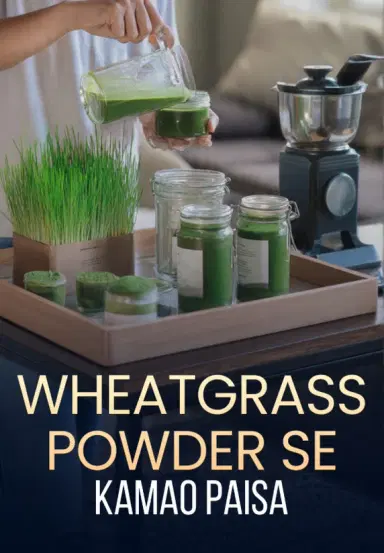 Wheatgrass Powder Se Kamao Paisa