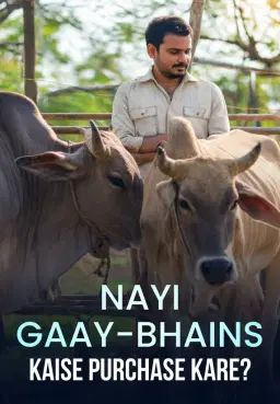 Nayi Gaay-Bhains Kaise Purchase Kare
