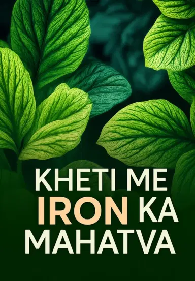 Kheti Me Iron Ka Mahatva?