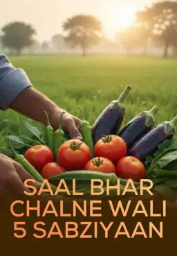 Saal Bhar Chalne Wali 5 Sabziyaan