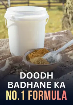 Doodh Badhane Ka No.1 Formula