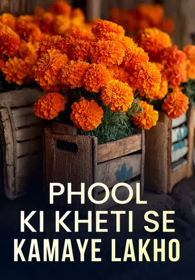 Phool Ki Kheti Se Kamaye Lakho