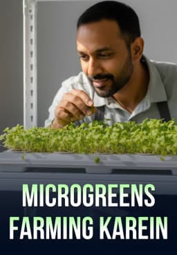 Microgreens Farming Karein