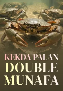 Kekda Palan Double Munafa