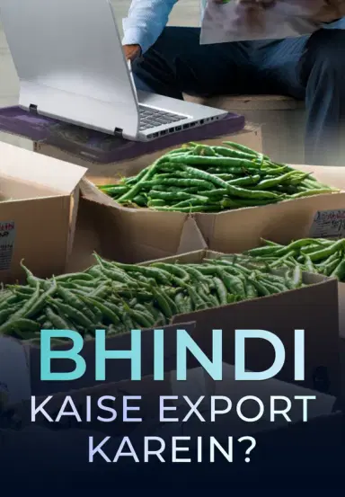 Bhindi Kaise Export Karein?