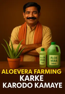 Aloevera Farming Karke Karodo Kamaye