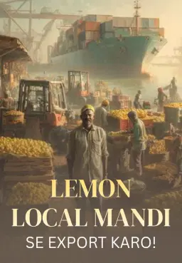 Lemon Local Mandi Se Export Karo!
