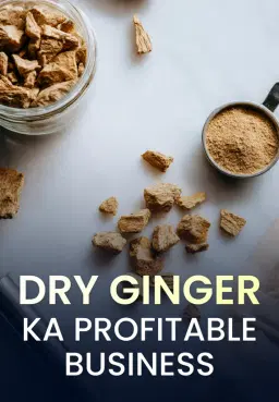 Dry Ginger Ka Profitable Business