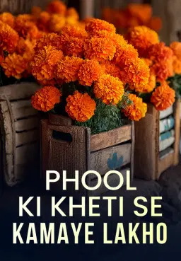 Phool Ki Kheti Se Kamaye Lakho