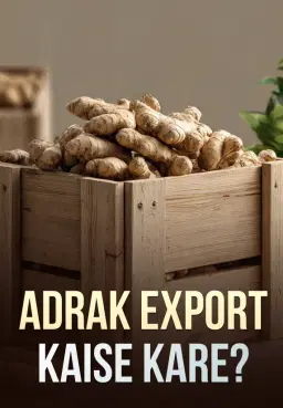 Adrak Export Kaise Kare?